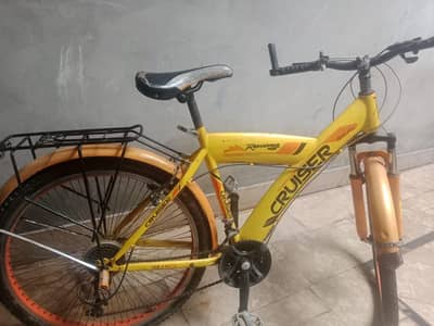 large cycle