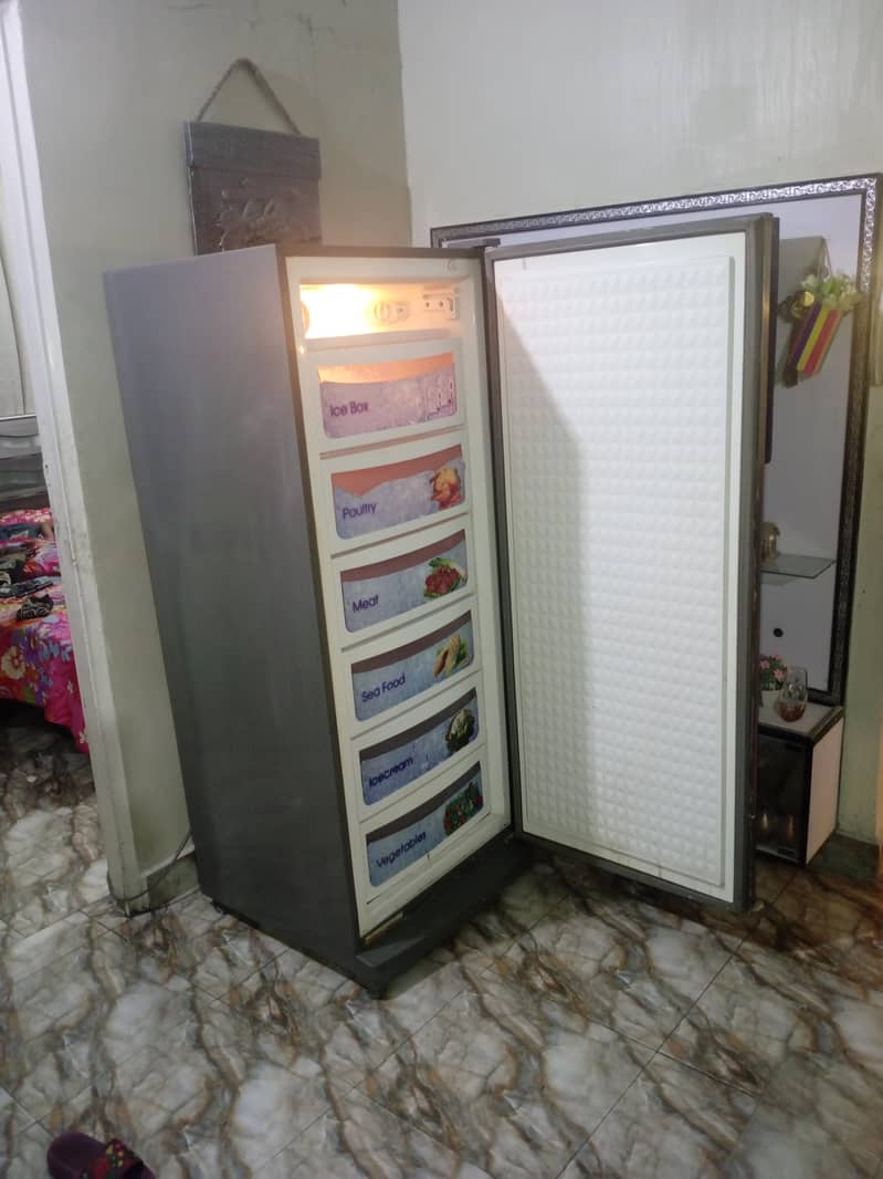 vertical Freezer 0