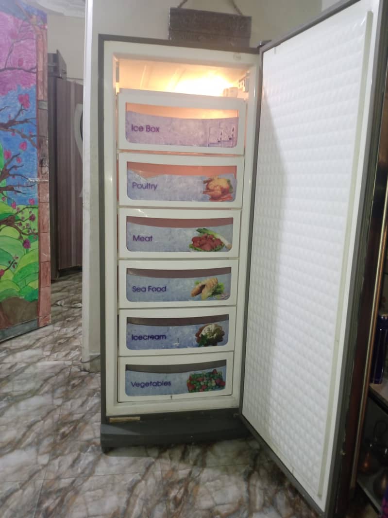 vertical Freezer 1
