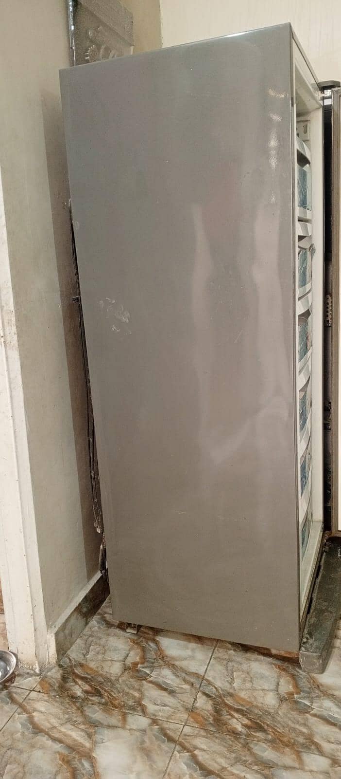 vertical Freezer 5