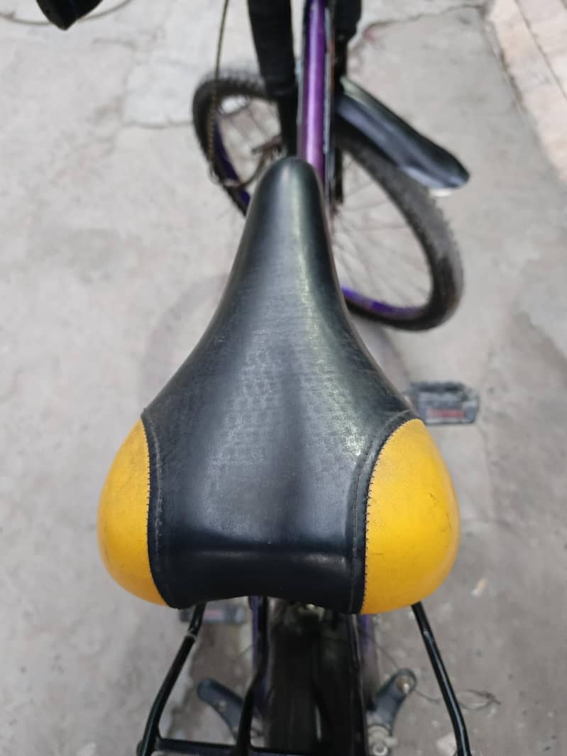 Bicycle/Cycle 2