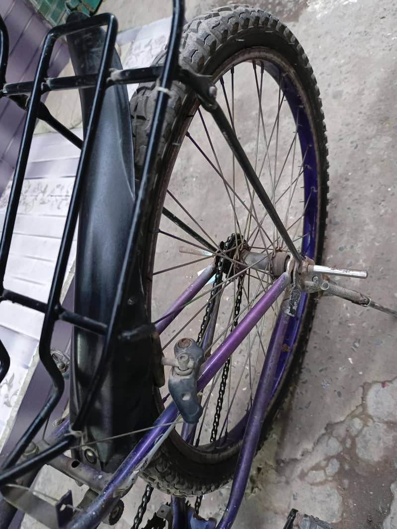 Bicycle/Cycle 3