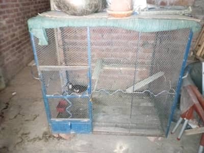 iron cage for hens. parrots. pegion. exchange poosible with mobile phone