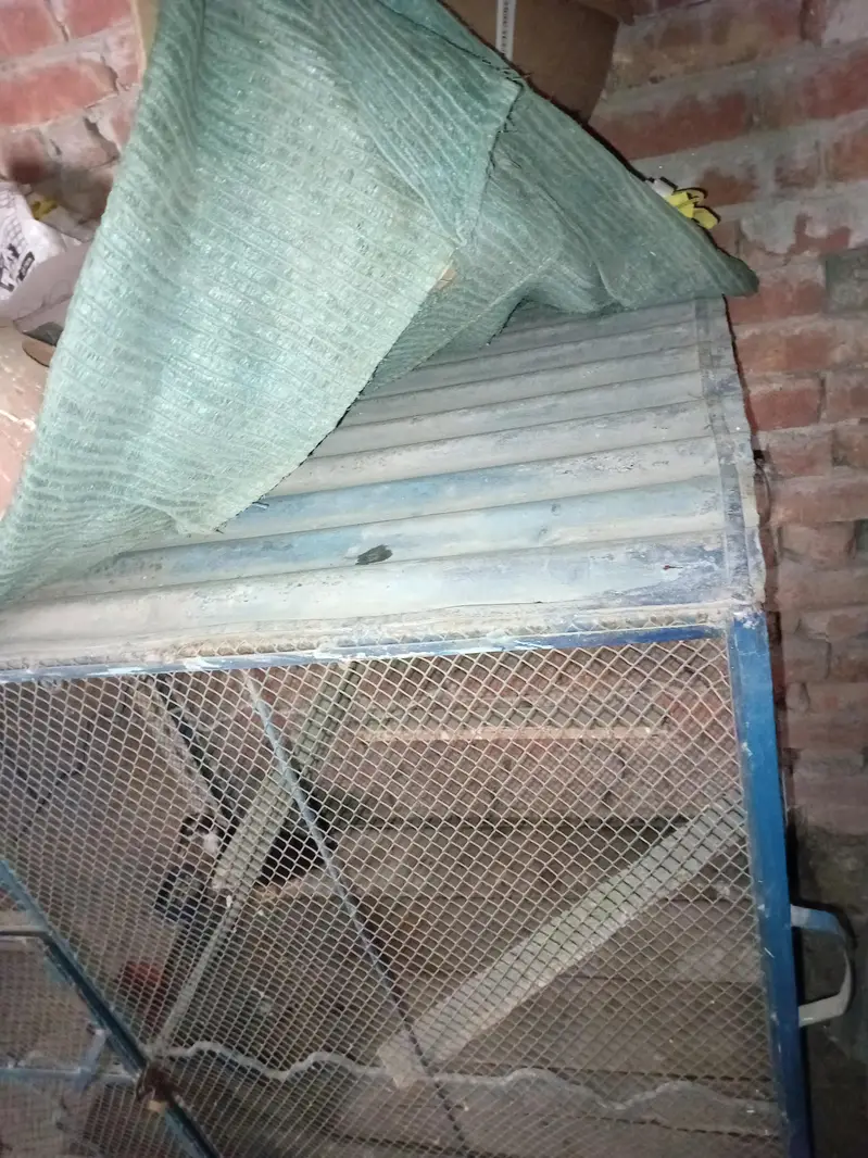 iron cage for hens. parrots. pegion. exchange poosible with mobile phone — photo 3