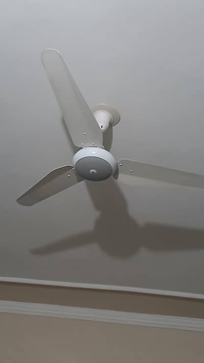 SK Ceiling Fan