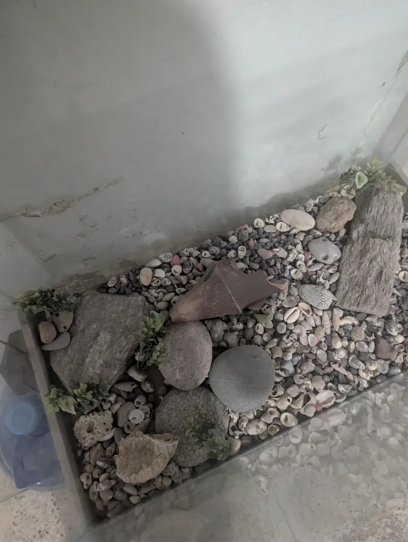 Aquarium Tank With Stone and pump — photo 3