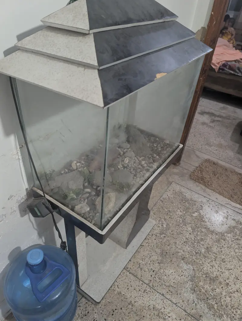 Aquarium Tank With Stone and pump — photo 4