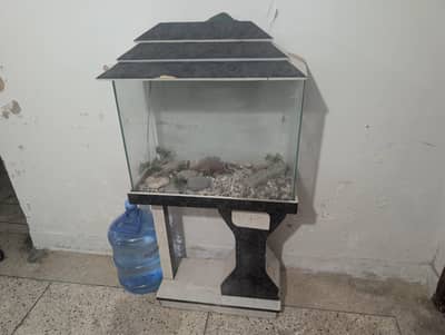 Aquarium Tank With Stone and pump