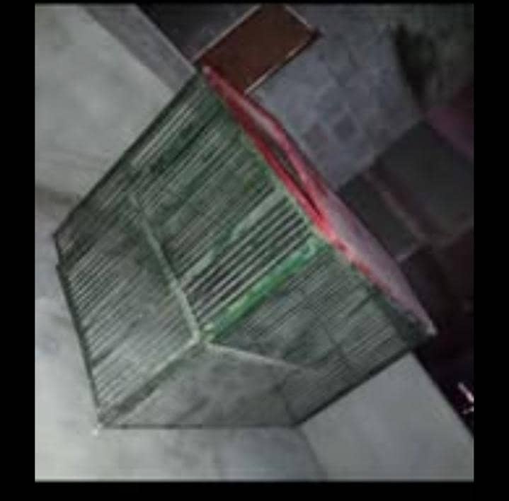 big cage 0