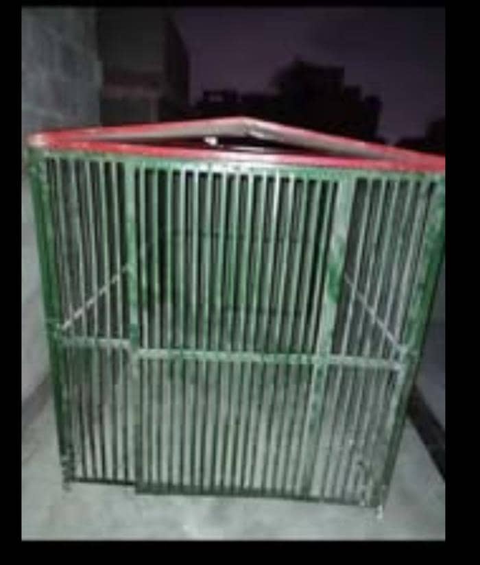 big cage 1