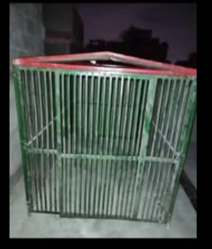 big cage — photo 2