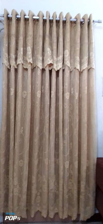 Beautiful net with aster curtain