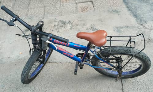 20 inch size cycle
