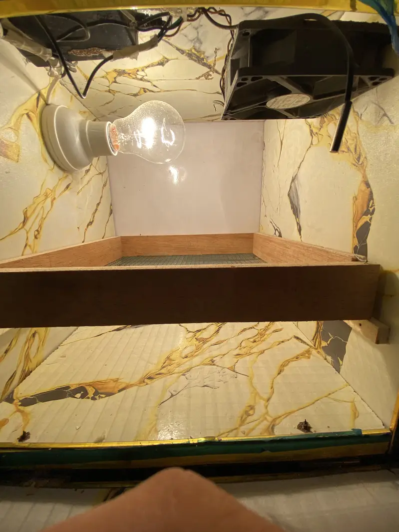 EGGS INCRUBATOR FOR SALE — photo 3