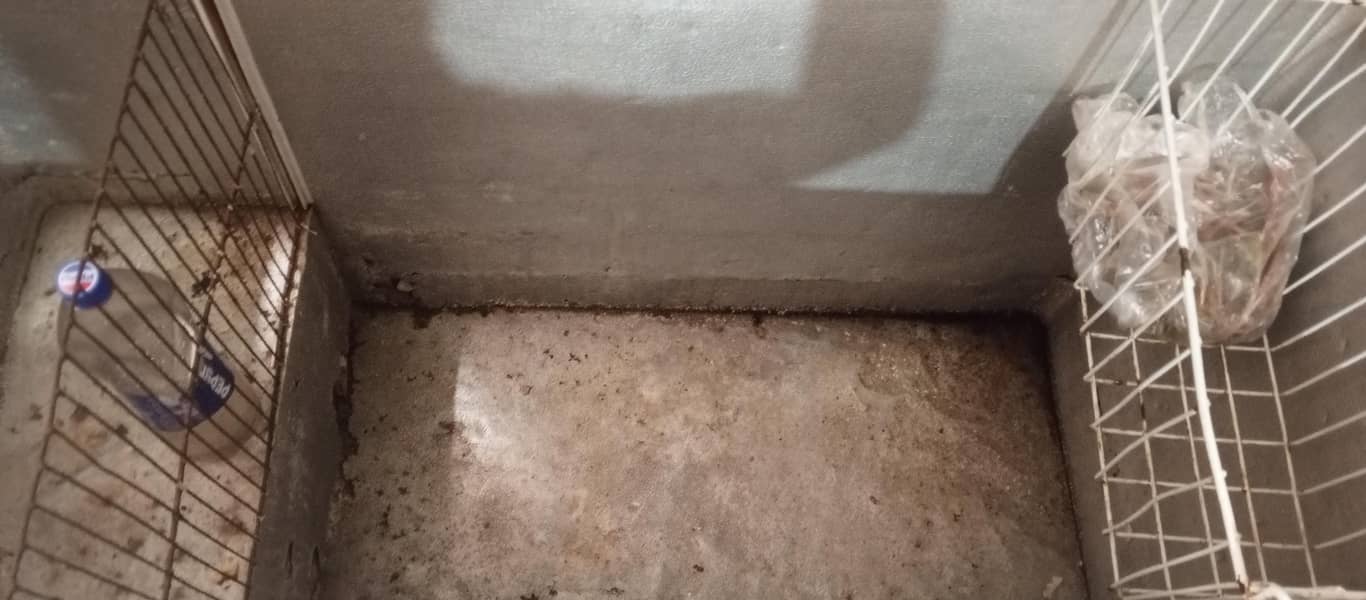 Deep freezer 1