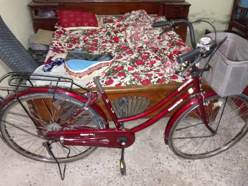 chains bicycle 2
