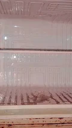fridge 1