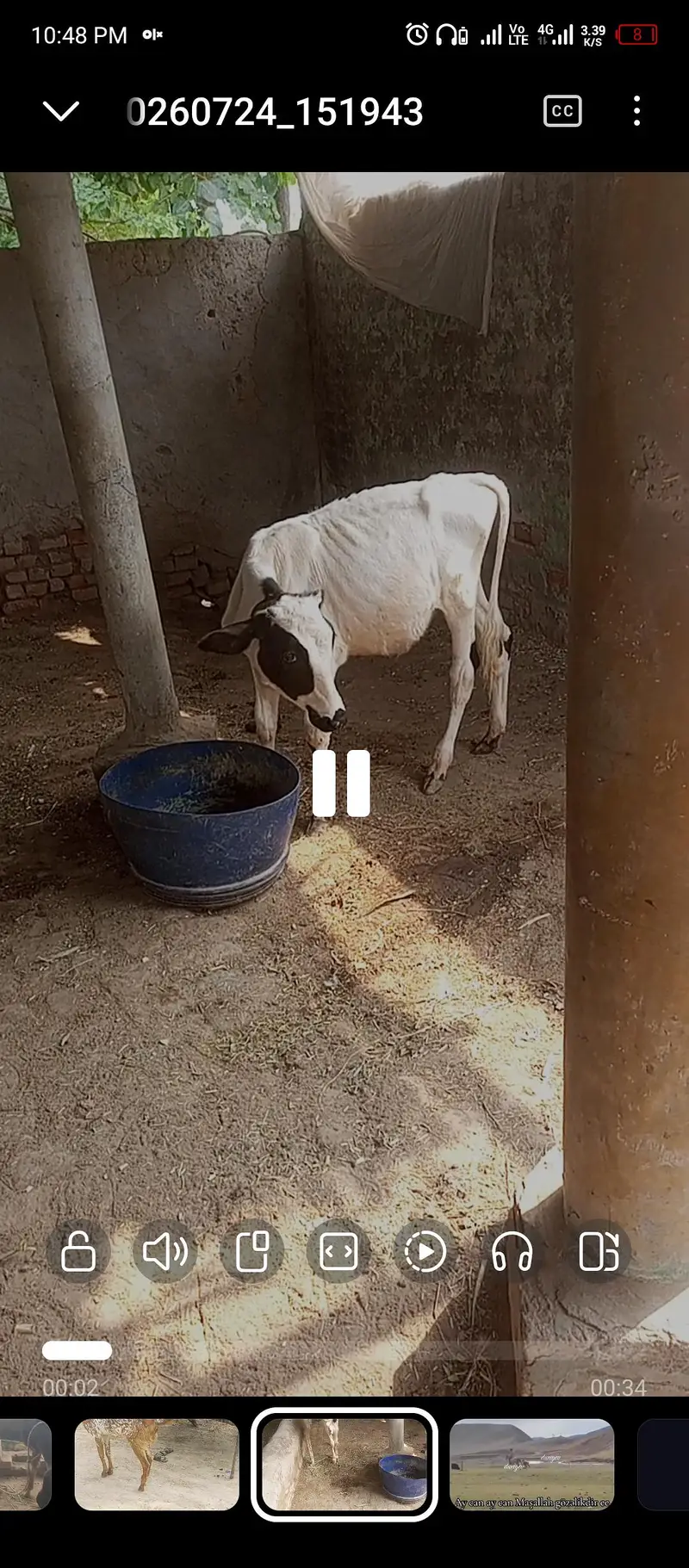 walti wacha — photo 2