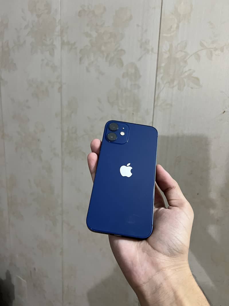 Apple iPhone 12 mini 1