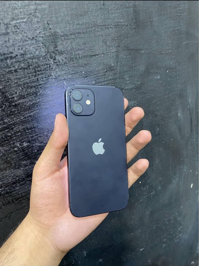 Apple iPhone 12 1