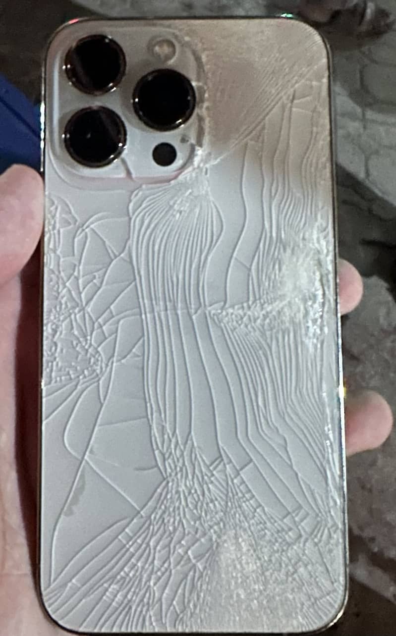 Apple iPhone 13 Pro 0