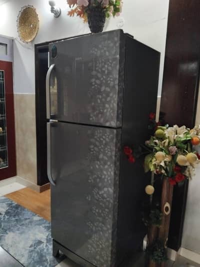 Haier Refrigerator/Fridge/Haier/All