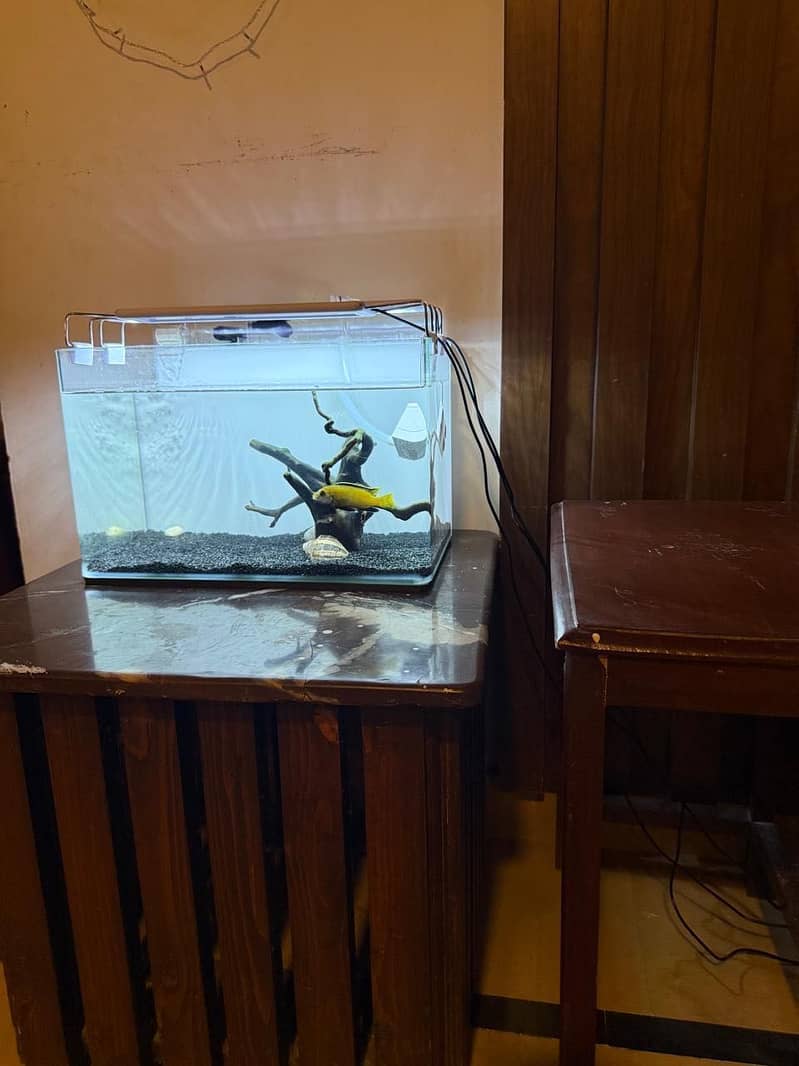 Aquarium setup 0