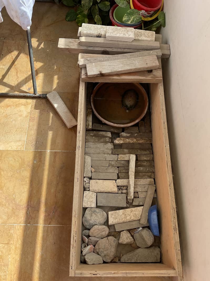 Aquarium setup 2