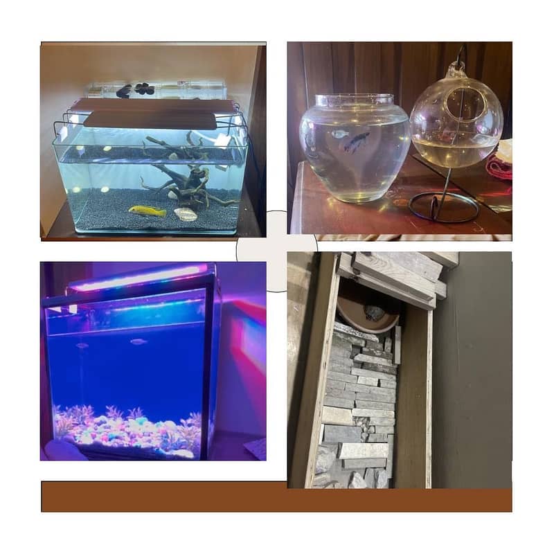 Aquarium setup 6