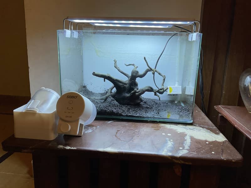 Aquarium setup 8