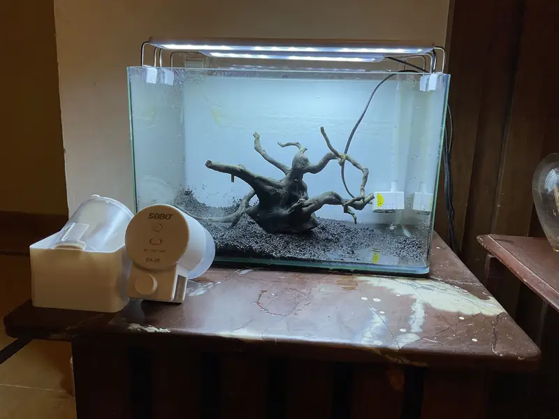 Aquarium setup — photo 9