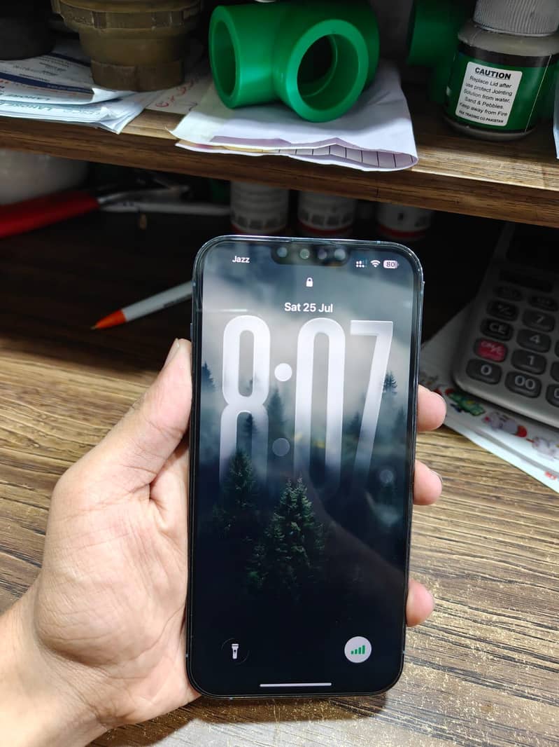 Apple iPhone 13 Pro Max 3