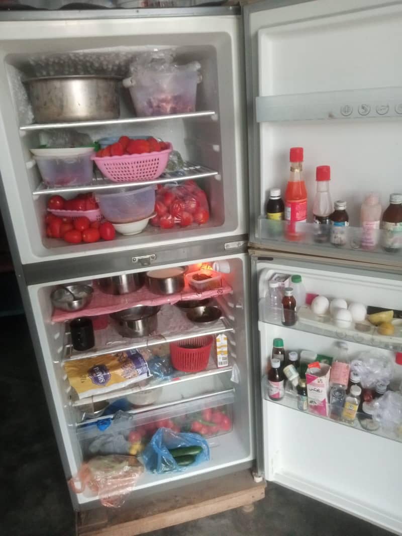 Fridge 2