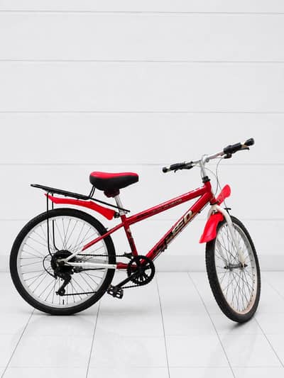 Japanese cycle original