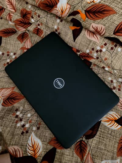 Dell 3100 4/16