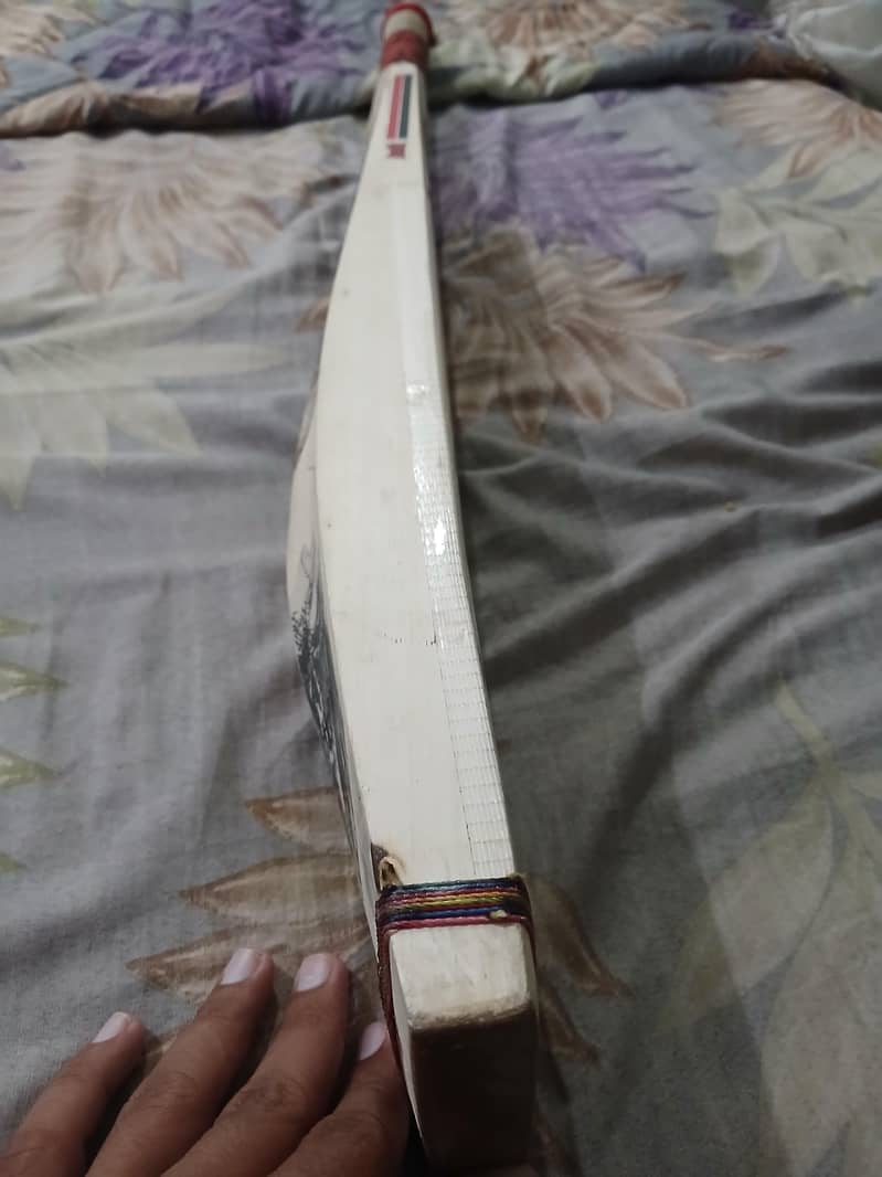 hard ball bat 1