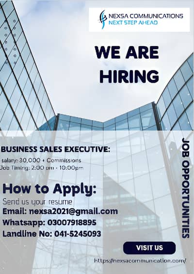 Business sales Executive