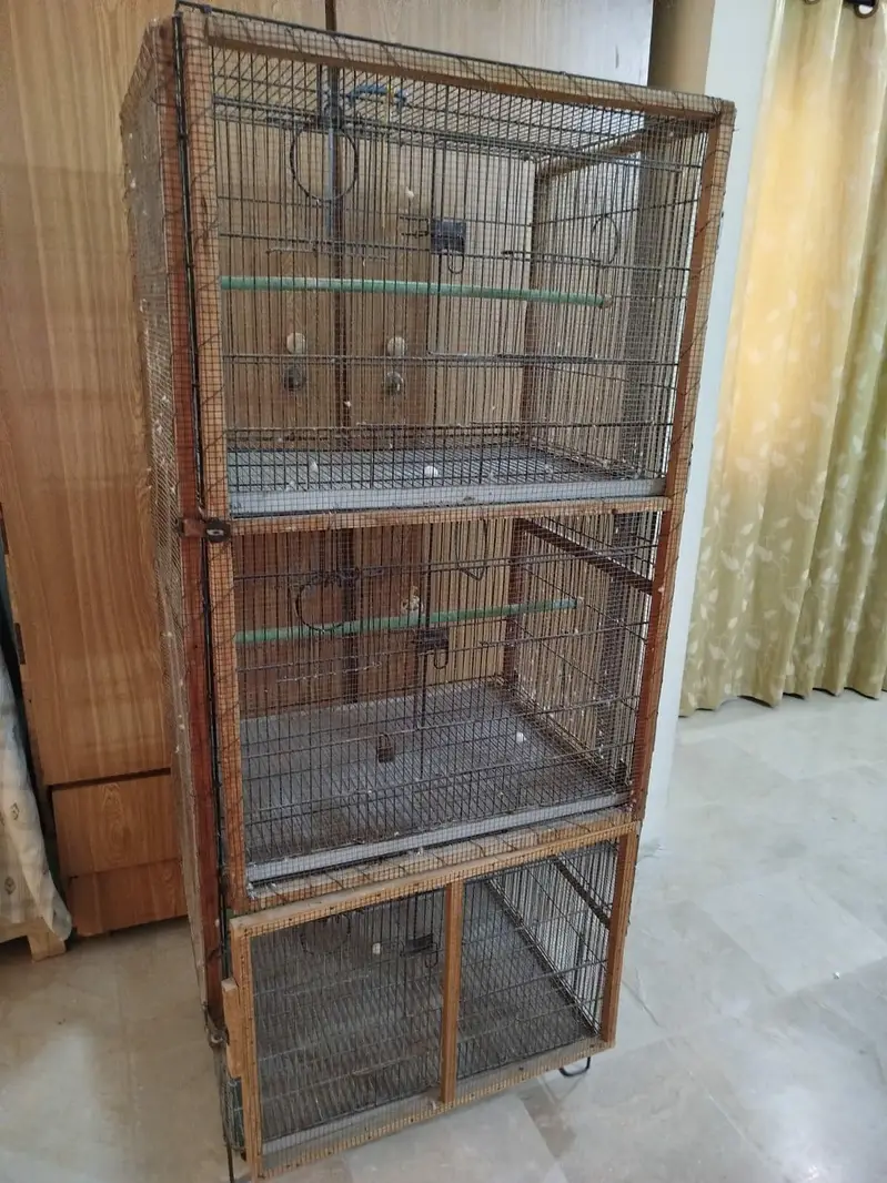 Bird cage — photo 2