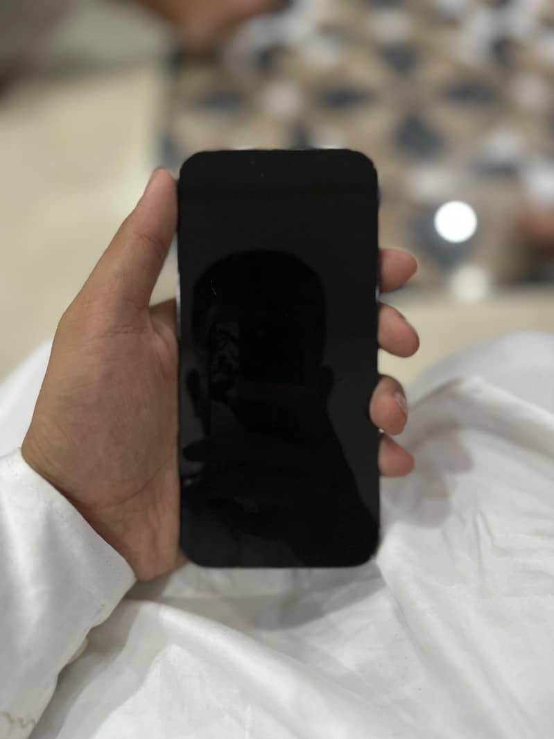 Apple iPhone 13 Pro Max 0