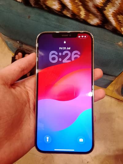 Apple iPhone 12 Pro Max