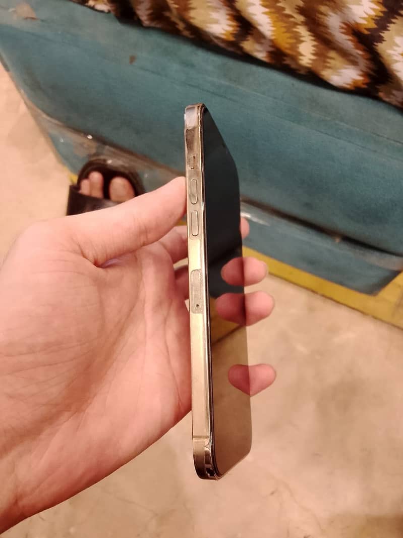 Apple iPhone 12 Pro Max 2