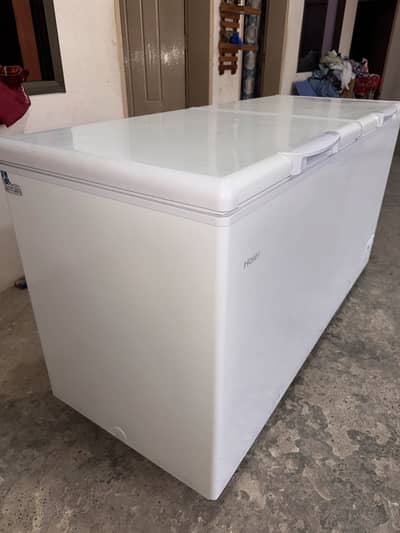 Urgent sale dfrezar
