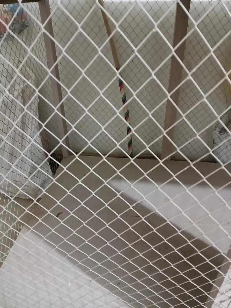 Big SIZE CAGE - Available — photo 3