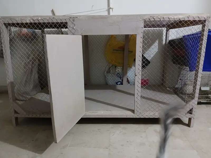 Big SIZE CAGE - Available — photo 4