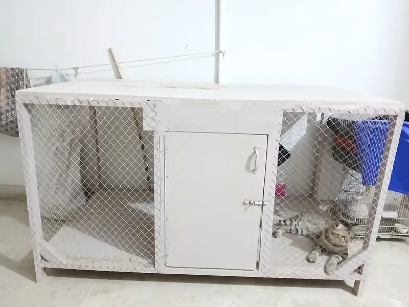 Big SIZE CAGE - Available — photo 5