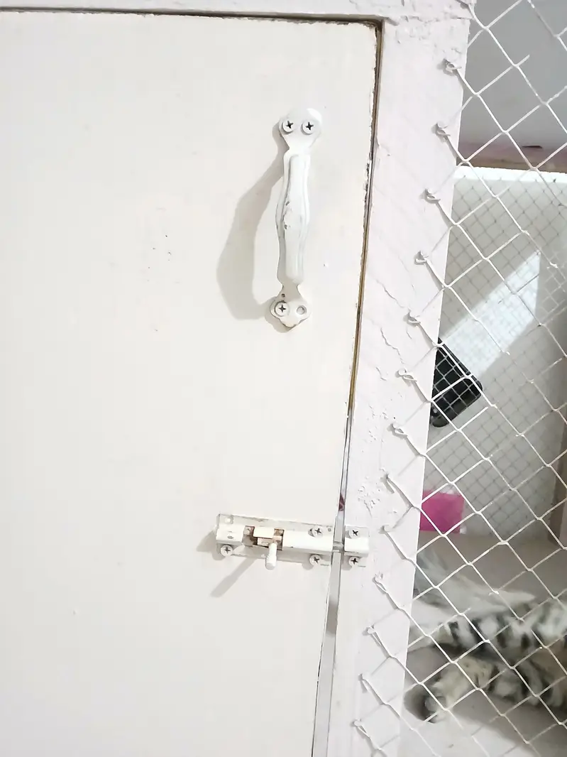 Big SIZE CAGE - Available — photo 7