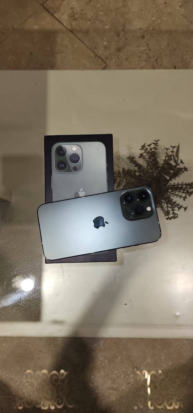 Apple iPhone 13 Pro 1