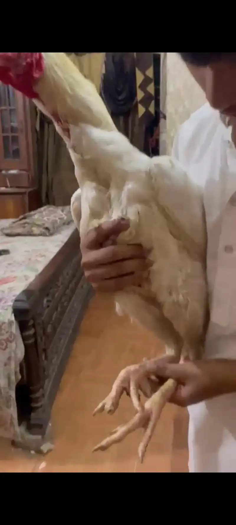 heera lal male — photo 3