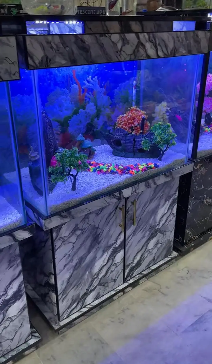 Big discount offer fish and fish aquarium — photo 3