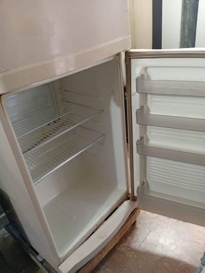 fridge
